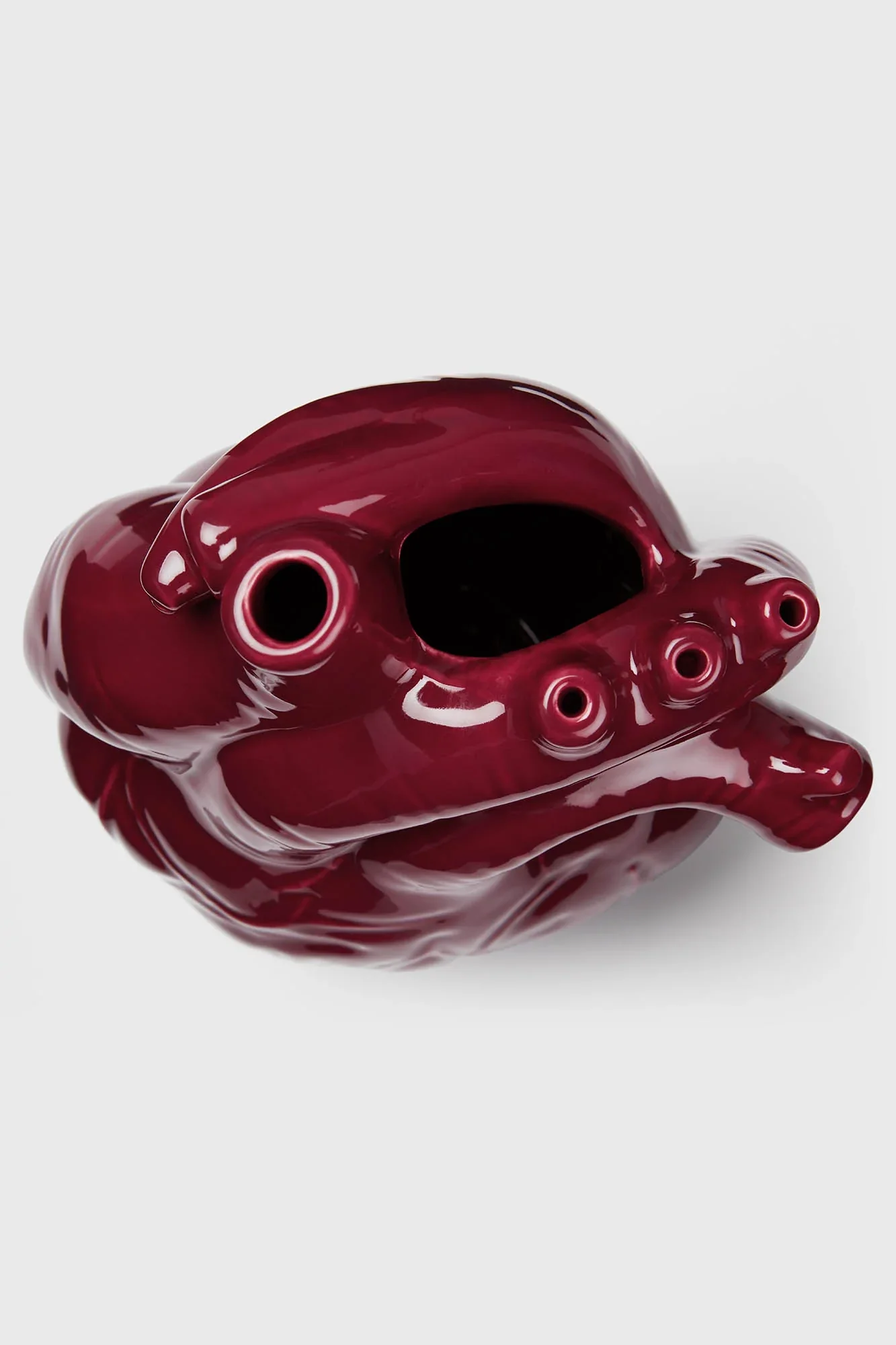 Ana-Tomic Vase - Image 3